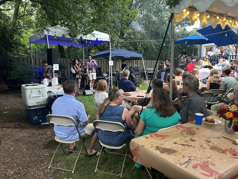 Backyard concert lighting wash